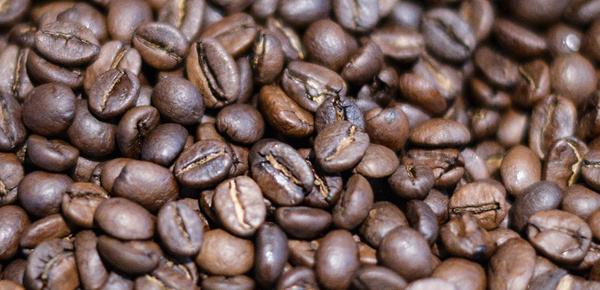 Kaffee­maschinen bei Elektro Schraut GmbH in Essleben